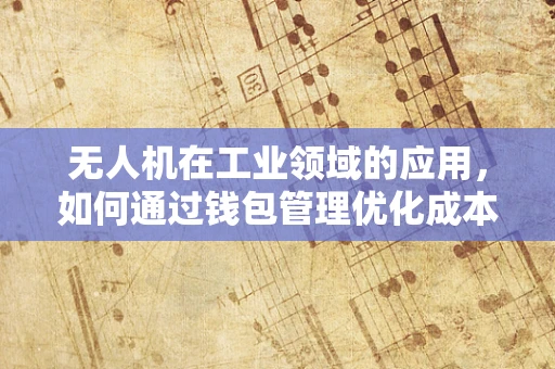 无人机在工业领域的应用，如何通过钱包管理优化成本与效率？