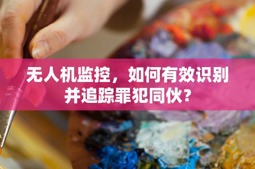 无人机监控，如何有效识别并追踪罪犯同伙？