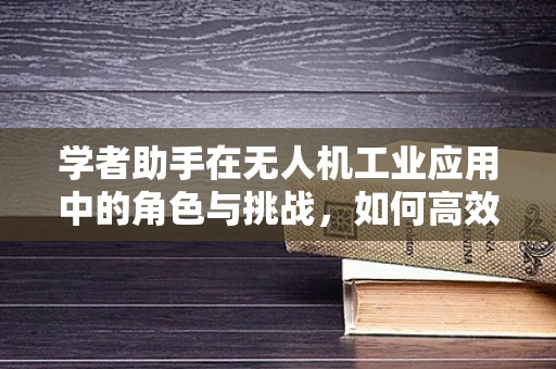 学者助手在无人机工业应用中的角色与挑战，如何高效整合数据资源？