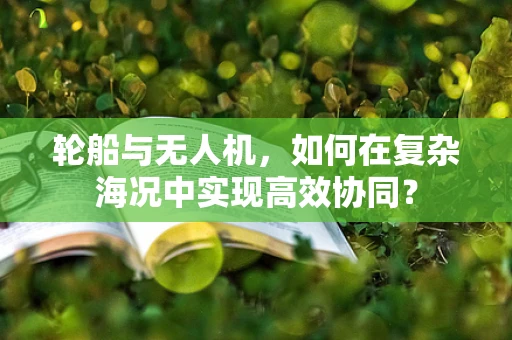 轮船与无人机，如何在复杂海况中实现高效协同？