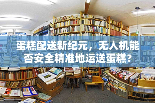 蛋糕配送新纪元，无人机能否安全精准地运送蛋糕？