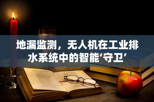 地漏监测，无人机在工业排水系统中的智能‘守卫’
