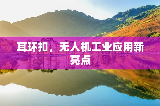 耳环扣，无人机工业应用新亮点