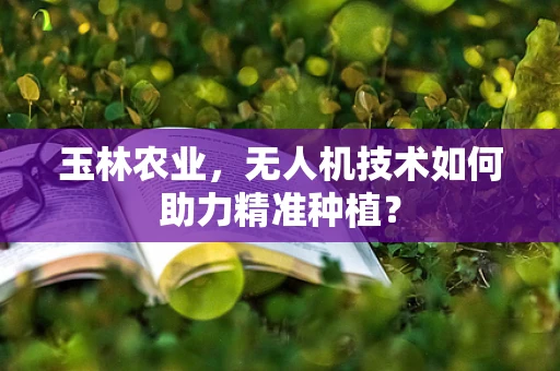 玉林农业，无人机技术如何助力精准种植？