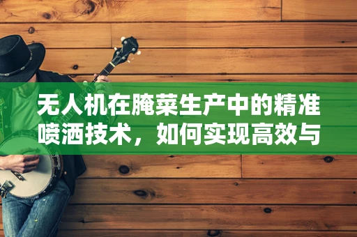 无人机在腌菜生产中的精准喷洒技术，如何实现高效与均匀？