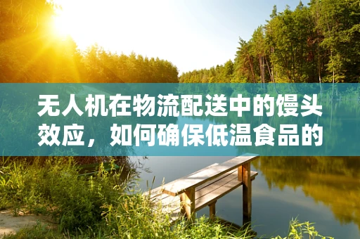无人机在物流配送中的馒头效应，如何确保低温食品的保鲜与安全？