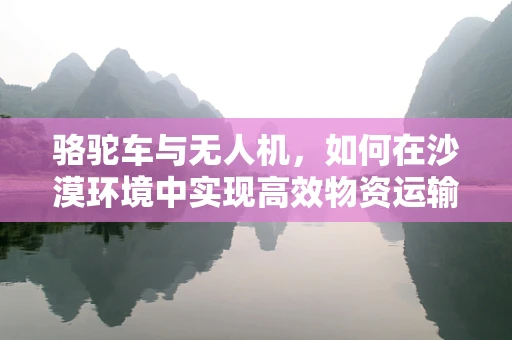 骆驼车与无人机，如何在沙漠环境中实现高效物资运输？