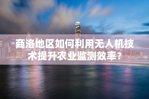 商洛地区如何利用无人机技术提升农业监测效率？