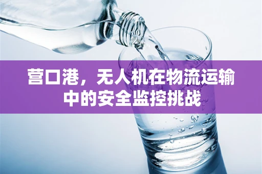 营口港，无人机在物流运输中的安全监控挑战
