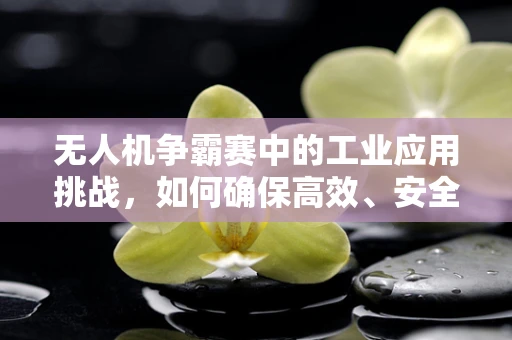 无人机争霸赛中的工业应用挑战，如何确保高效、安全地执行任务？