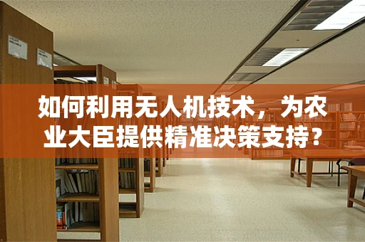 如何利用无人机技术，为农业大臣提供精准决策支持？