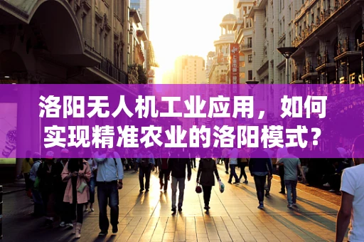 洛阳无人机工业应用，如何实现精准农业的洛阳模式？