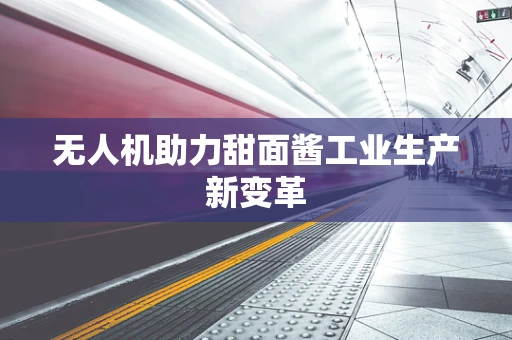 无人机助力甜面酱工业生产新变革
