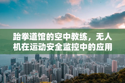 跆拳道馆的空中教练，无人机在运动安全监控中的应用挑战？