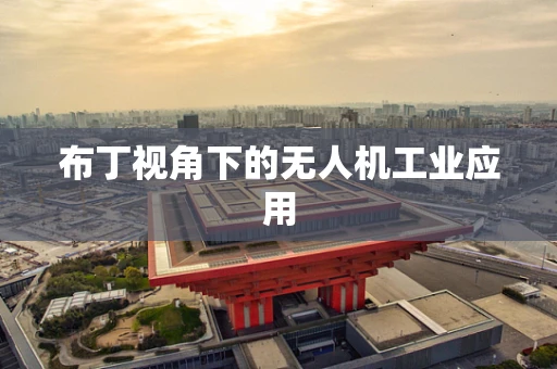 布丁视角下的无人机工业应用