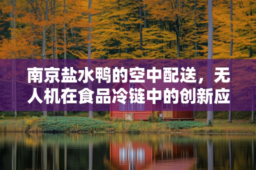 南京盐水鸭的空中配送，无人机在食品冷链中的创新应用挑战