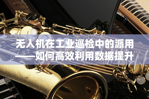 无人机在工业巡检中的派用——如何高效利用数据提升运维效率？