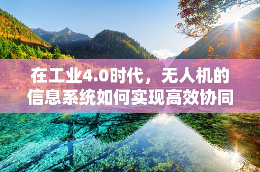 在工业4.0时代，无人机的信息系统如何实现高效协同与智能决策？