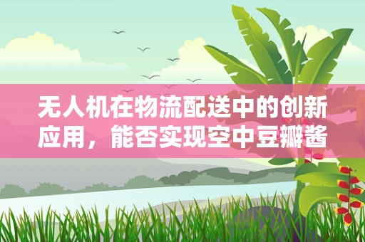 无人机在物流配送中的创新应用，能否实现空中豆瓣酱速递？