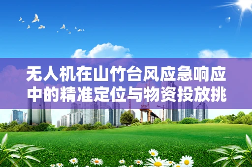 无人机在山竹台风应急响应中的精准定位与物资投放挑战