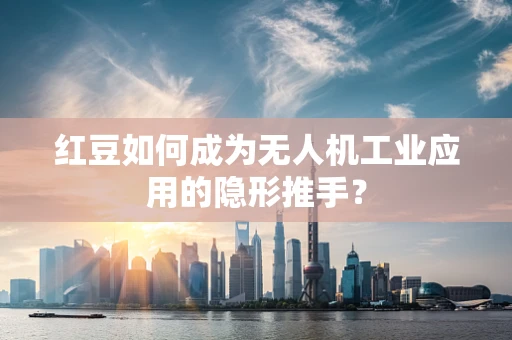 红豆如何成为无人机工业应用的隐形推手？