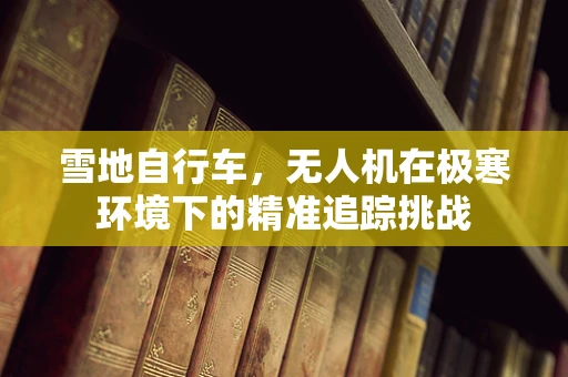 雪地自行车，无人机在极寒环境下的精准追踪挑战