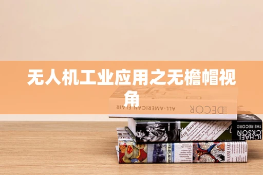 无人机工业应用之无檐帽视角