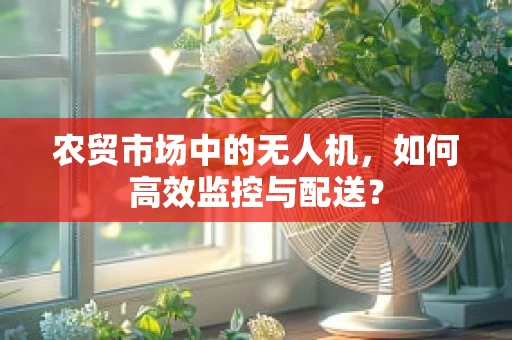农贸市场中的无人机，如何高效监控与配送？
