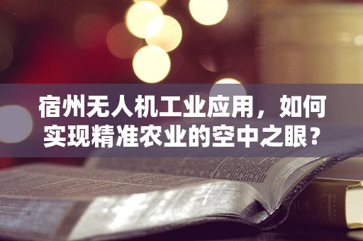 宿州无人机工业应用，如何实现精准农业的空中之眼？