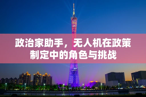 政治家助手，无人机在政策制定中的角色与挑战