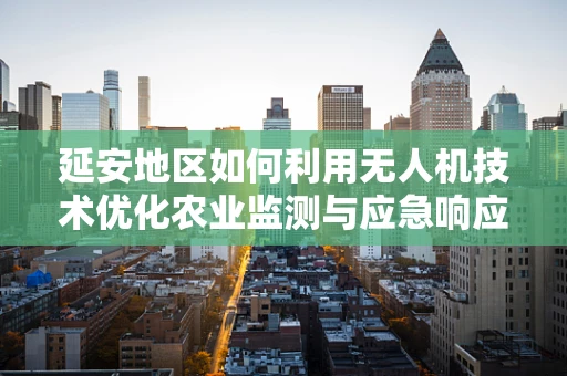 延安地区如何利用无人机技术优化农业监测与应急响应？