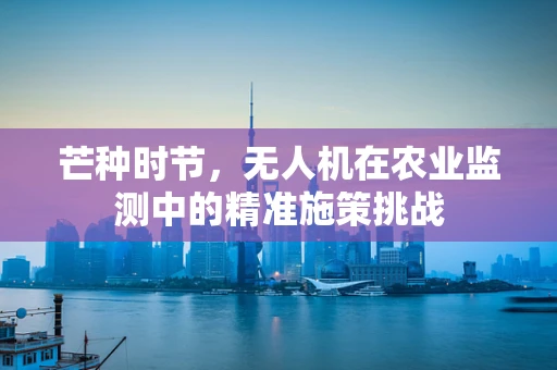 芒种时节，无人机在农业监测中的精准施策挑战