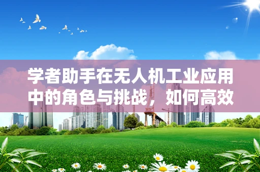 学者助手在无人机工业应用中的角色与挑战，如何高效整合数据资源？