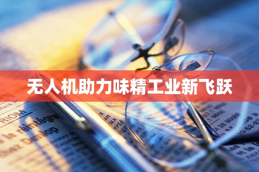 无人机助力味精工业新飞跃