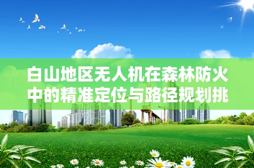 白山地区无人机在森林防火中的精准定位与路径规划挑战