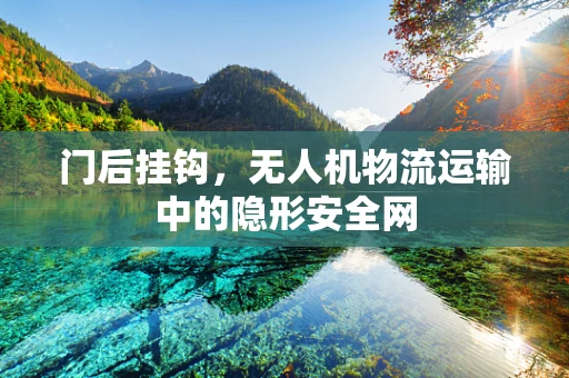 门后挂钩，无人机物流运输中的隐形安全网