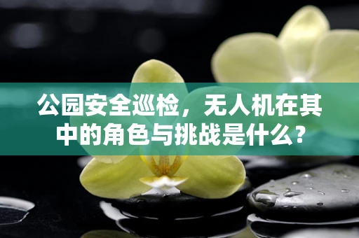 公园安全巡检，无人机在其中的角色与挑战是什么？
