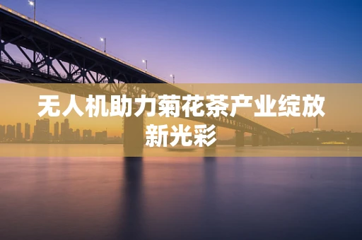 无人机助力菊花茶产业绽放新光彩
