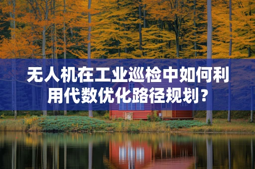 无人机在工业巡检中如何利用代数优化路径规划？