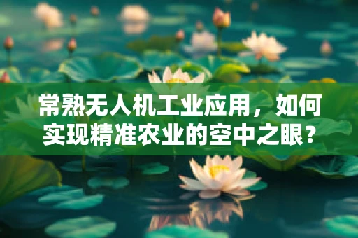 常熟无人机工业应用，如何实现精准农业的空中之眼？