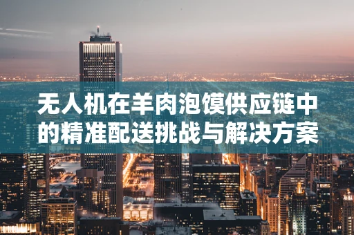 无人机在羊肉泡馍供应链中的精准配送挑战与解决方案