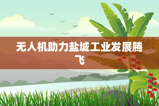 无人机助力盐城工业发展腾飞