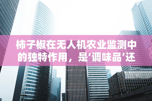 柿子椒在无人机农业监测中的独特作用，是‘调味品’还是‘技术大咖’？