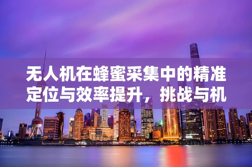 无人机在蜂蜜采集中的精准定位与效率提升，挑战与机遇？
