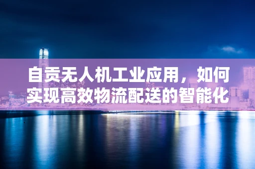 自贡无人机工业应用，如何实现高效物流配送的智能化升级？