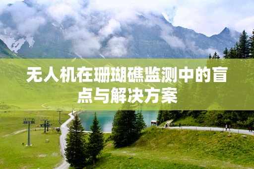 无人机在珊瑚礁监测中的盲点与解决方案