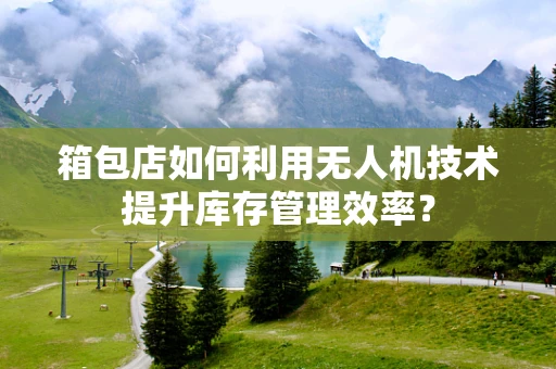 箱包店如何利用无人机技术提升库存管理效率？