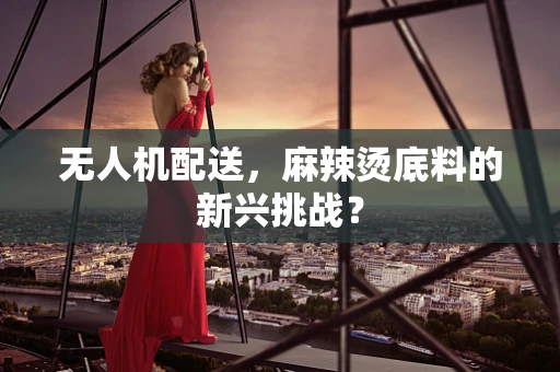 无人机配送，麻辣烫底料的新兴挑战？