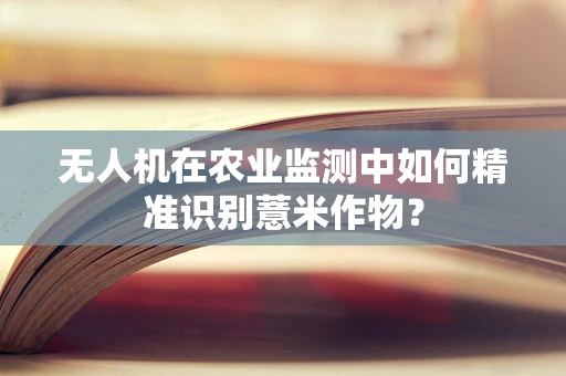 无人机在农业监测中如何精准识别薏米作物？