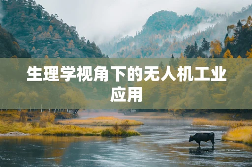生理学视角下的无人机工业应用